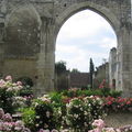Les Jardins du Prieuré de Saint Cosmes (Touraine)