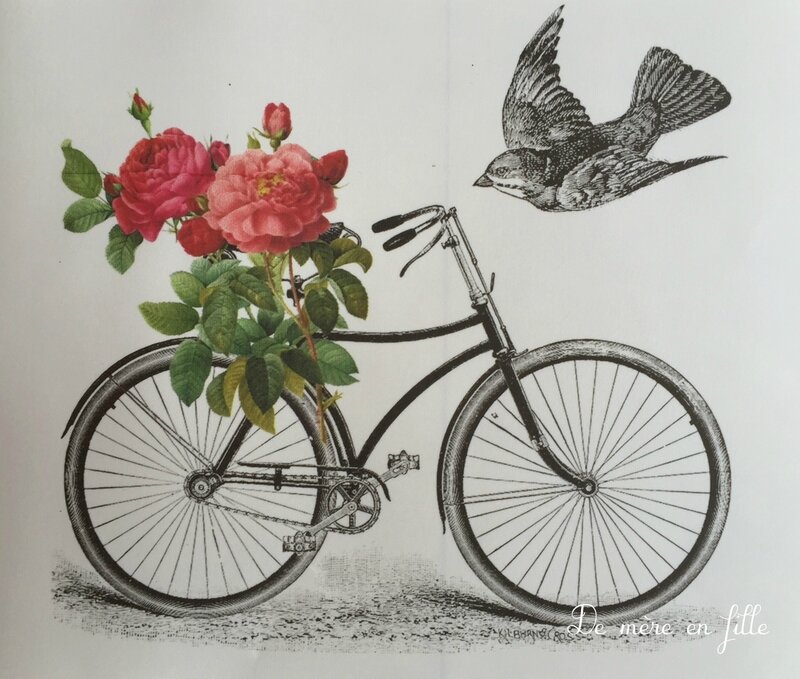 vélo et oiseaux 3