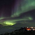 TERRE ADELIE