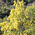 IMG_5969