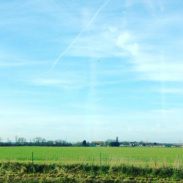 12362575_1517465721881017_870569750_n - Copie