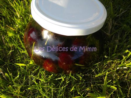 DSCN3753bis
