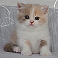 _DSC0250