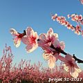 [projet 52-2017] semaine 12 - printanier