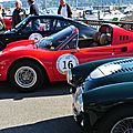 DSC_7517