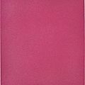 Yves klein, monochrome rose sans titre (mp 27), 1960