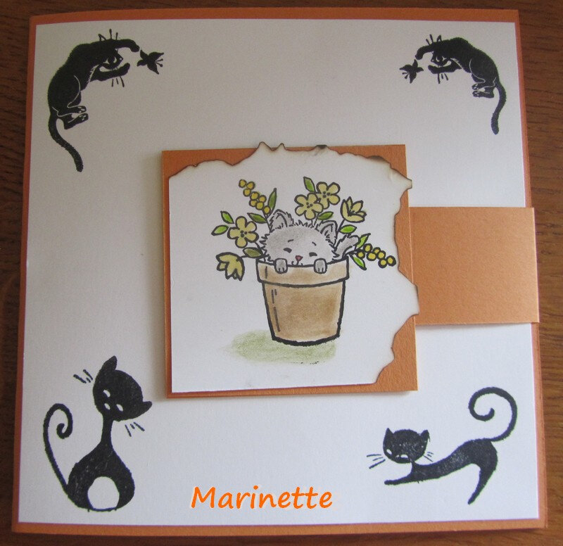 SEPTEMBRE 2019 LA MIENNE