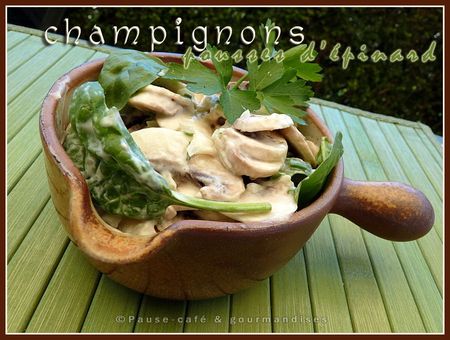 champignons__25_