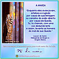 Mensagem do dia 28 de maio - notre dame de paris