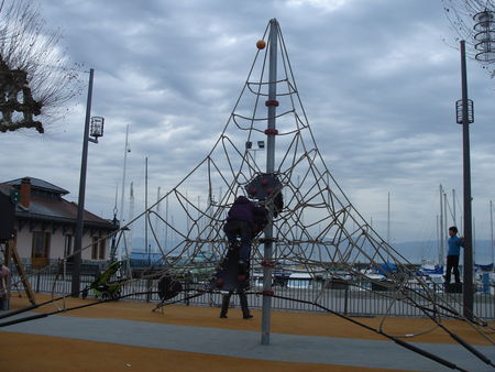 DSC00650