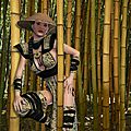 A l'ombre des bambous