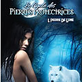 le-cycle-des-pierres-protectrices-tome-1-pierre-de-lune