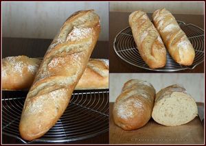 baguettes___l_ancienne__23_