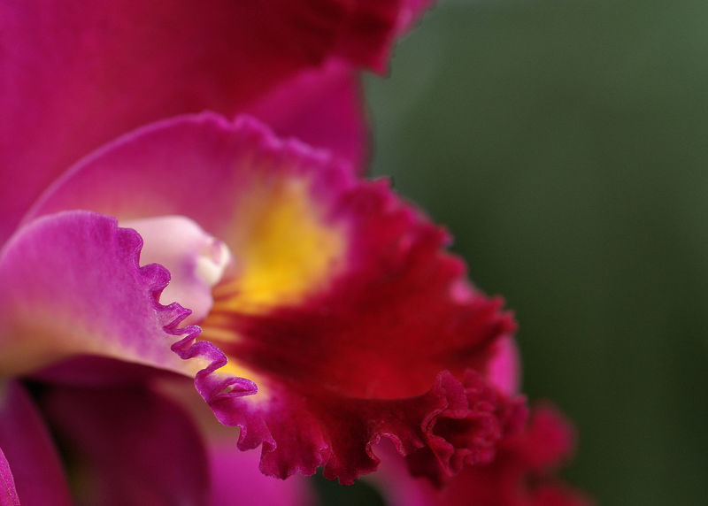 _DSC0029841
