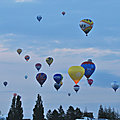 IMG_8724