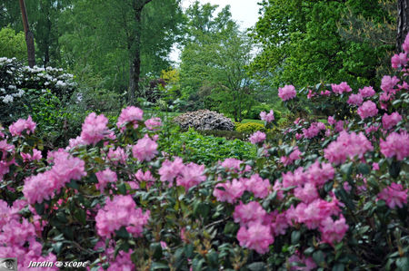 Jardins_de_callunes_0153