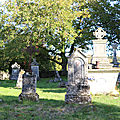 IMG_6117