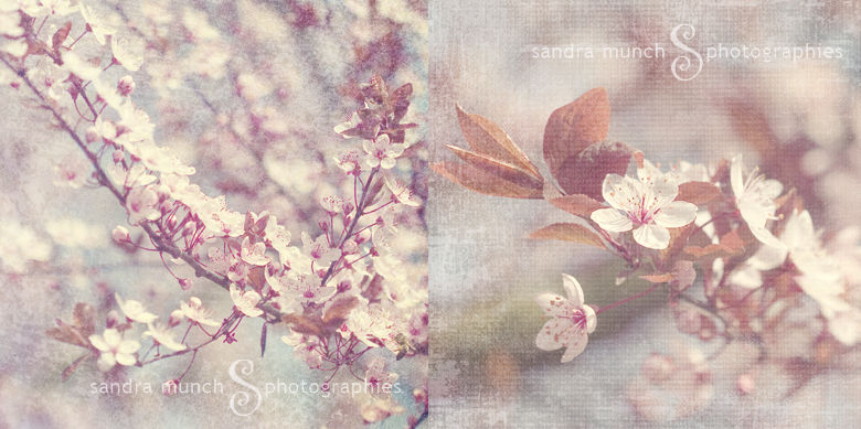 printemps