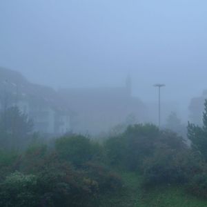 novembre le 19