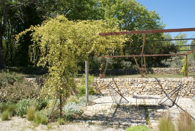 Grimpant Le Rosier De Banks Lutea Des Pierres Dans Mon Jardin Sec