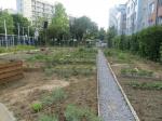 Potager