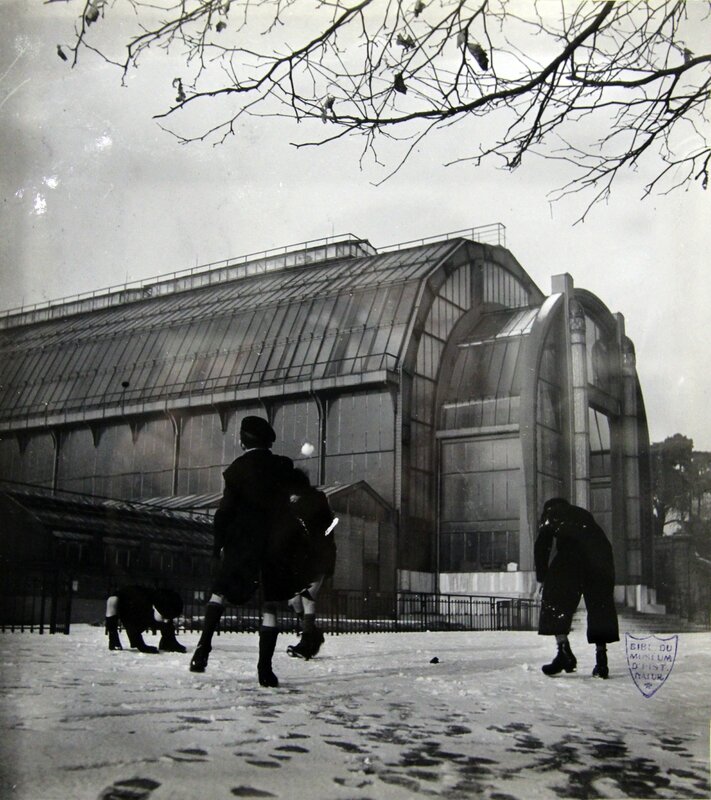 serres du jardin des plantes vues par Robert Doisneau