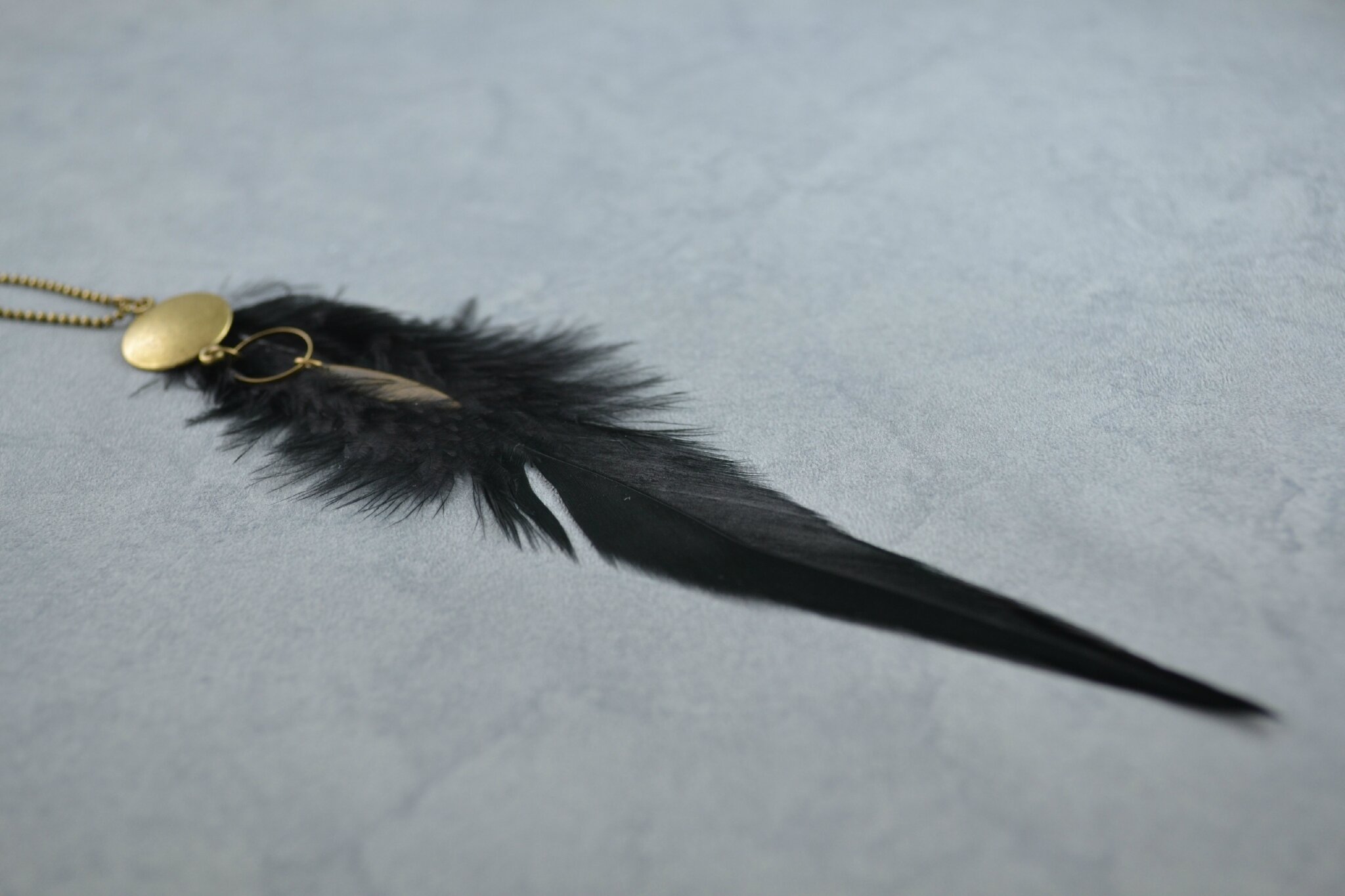 Comme Un Oiseau Sur Une Branche DSC_0151 - Photo de Comme un oiseau sur la branche 2015 - Nom d'une Plume