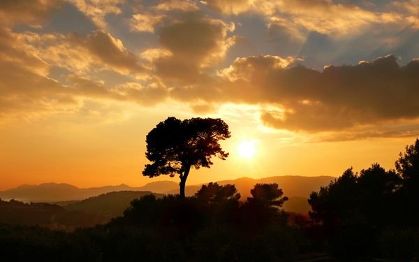 fond_ecran_wallpaper_paysage_0316
