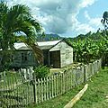 P1220040