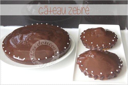 Gâteau_Zebré021