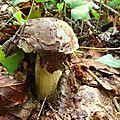 DSC05266