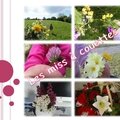 Vous aimez les bouquets ?