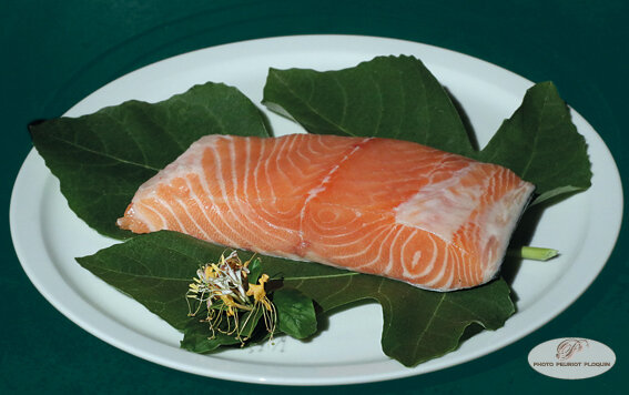 SAUMON_CRU_pour_carpaccio