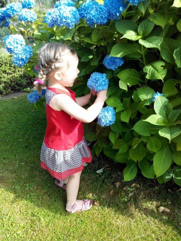 IMG_20150706_100737 (Copier)