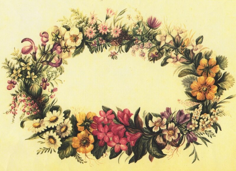 dessin de fleurs exécuté par Henriette d'Angeville
