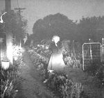 1952_Beverly_Hills_by_dedienes_sadness_031_1