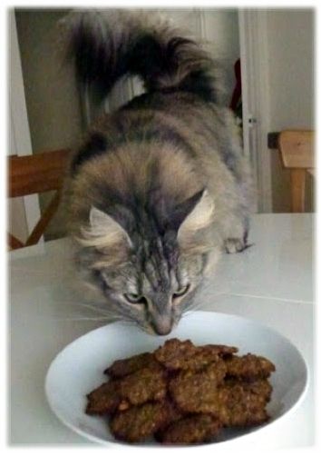 biscuit (5)