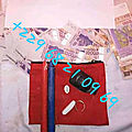 Portefeuille magique en euro, portefeuille magique en dollars, portefeuille magique inconvénients, valise magique, portefeuille 