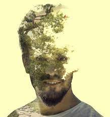 BEAU ET ARBRE