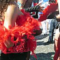 Mon truc en plumes au carnaval de nantes le 12 avril 2015 (1)