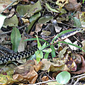 P1140122