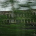 IMG_0900