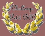challenge_Petit_Bac