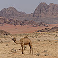 P1010765