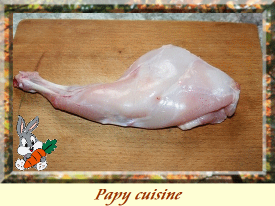 Anim marche lapin