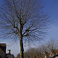 _IGP3497