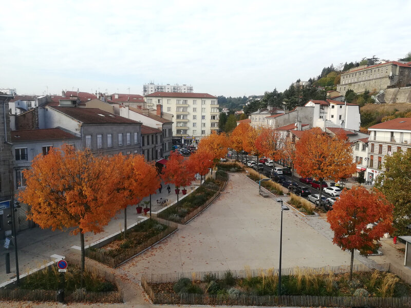 automne, 18 oct 2018 (1)