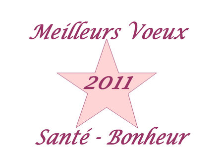 Voeux_2011