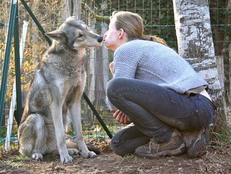 Leducation Et Lélevage Canin Dans Les Landes