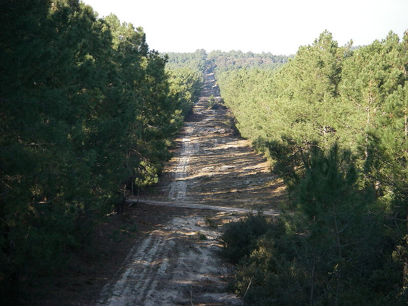 800px-Parefeu_Hourtin